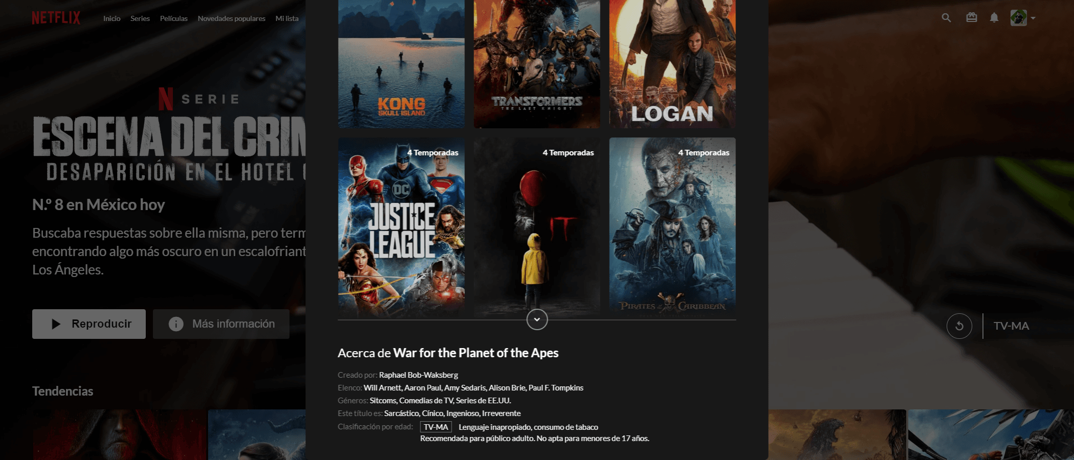 Imagen del la parte inferior del modal con los detalles de una serie de mi proyecto "Netflix Layout".